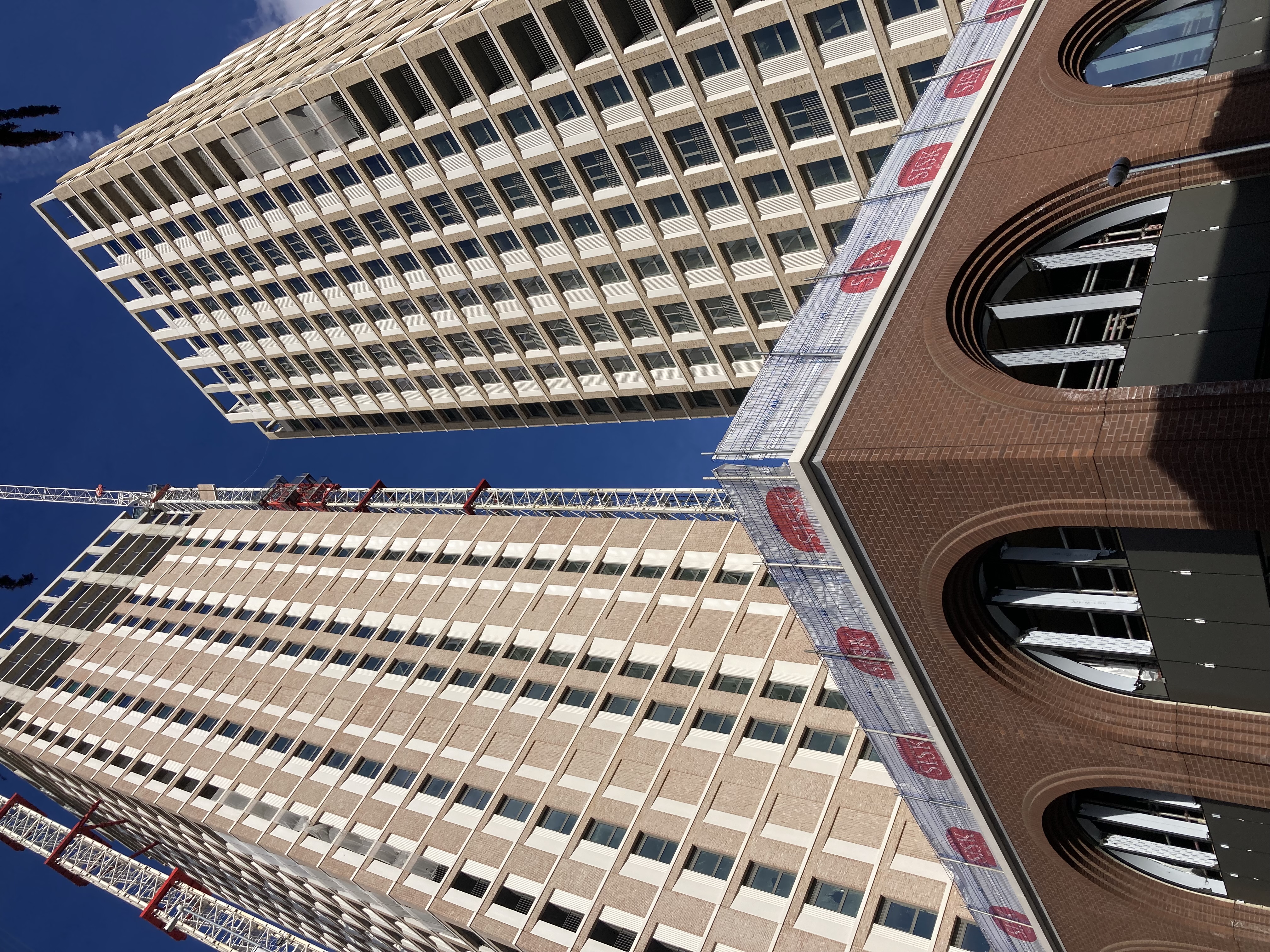 Supply Chain Opportunities at Pearl Yard